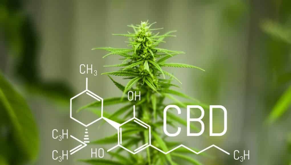 CBD