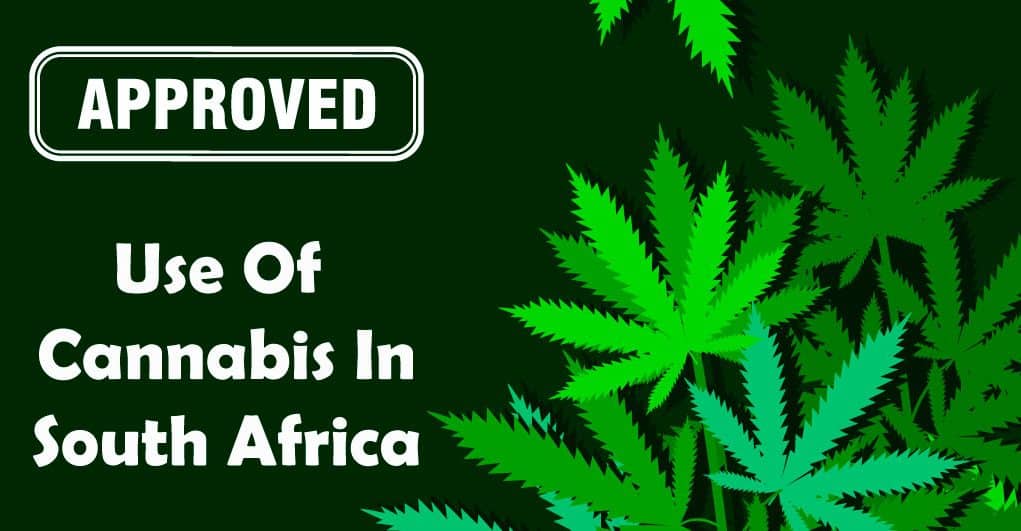 Private Use of Cannabis Gets Cabinet Approval in South Africa