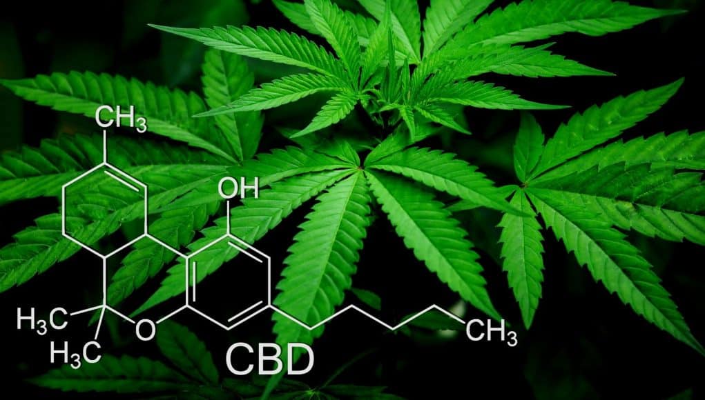 Drug Seizures Rise in Hampshire Raising Concerns